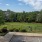 Dog Park